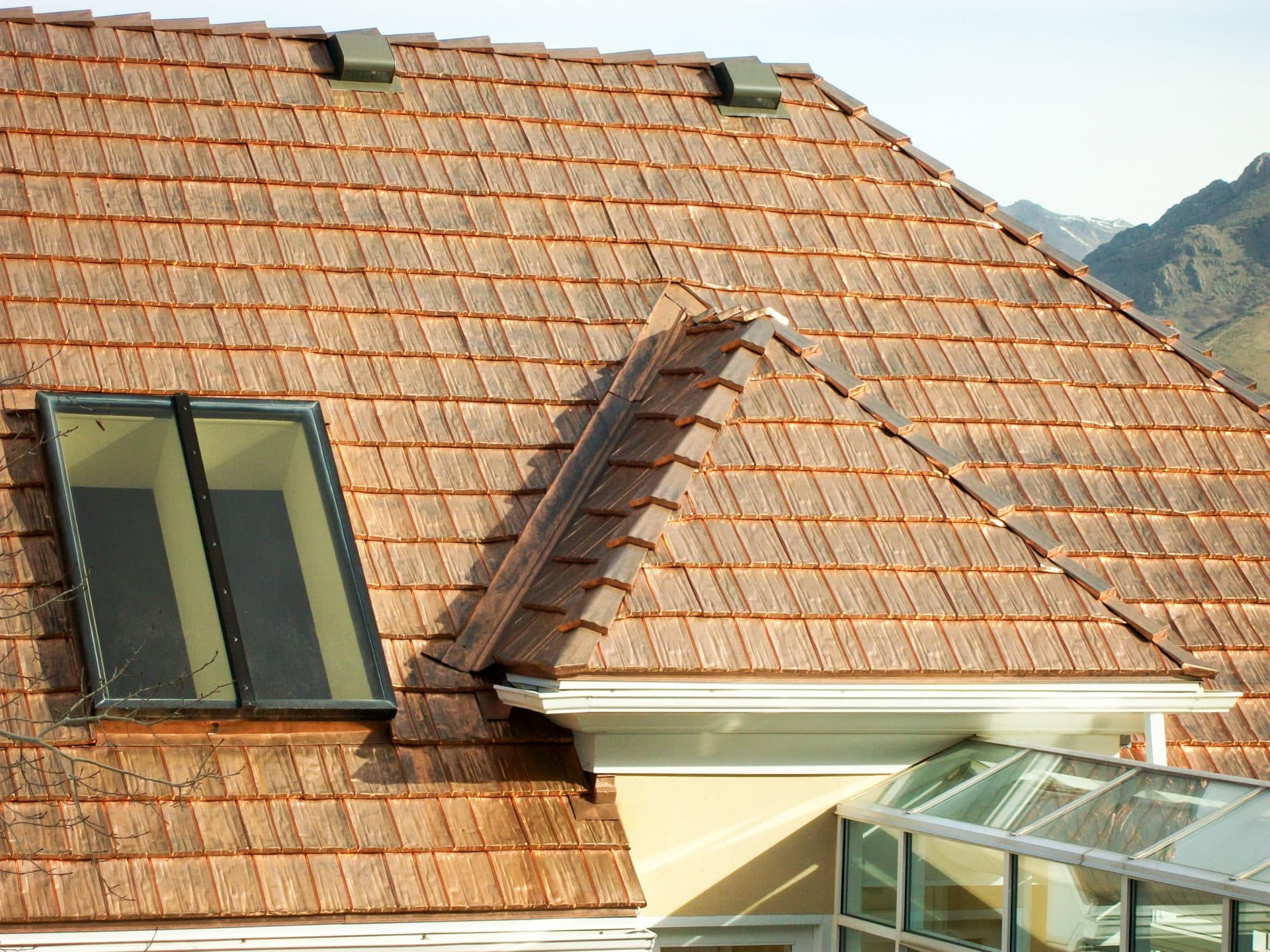 Metal Roofing