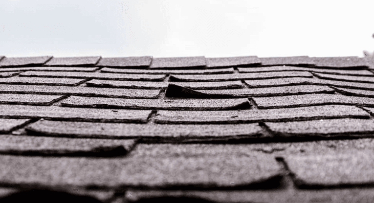 Shingle Roof Damage