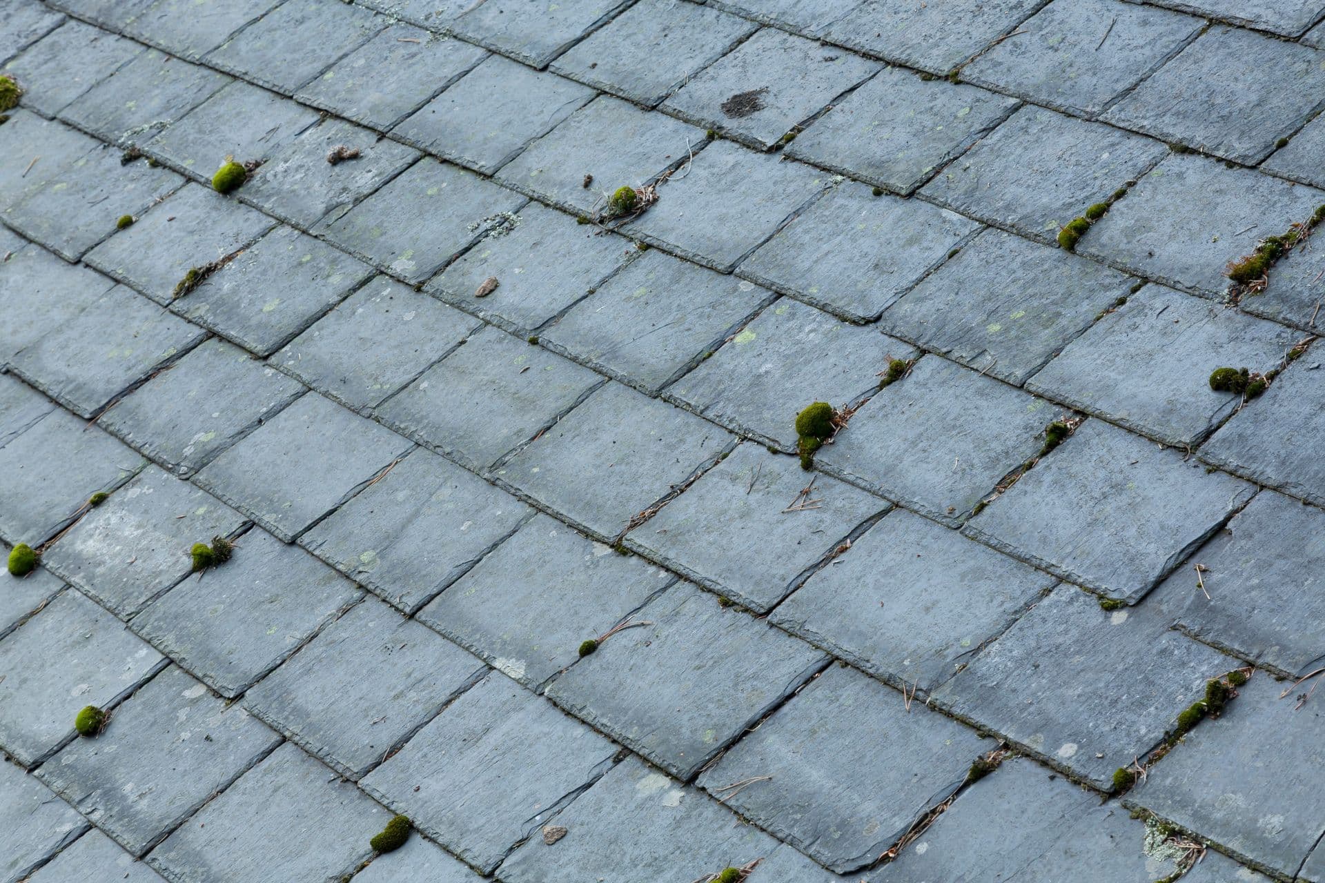 Aging Roof - Roof Replacement